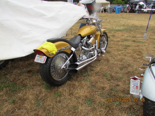 IMG 0345 (1)