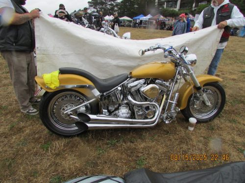 IMG 0346 (1)