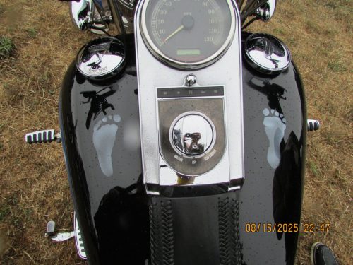 IMG 0350 (1)
