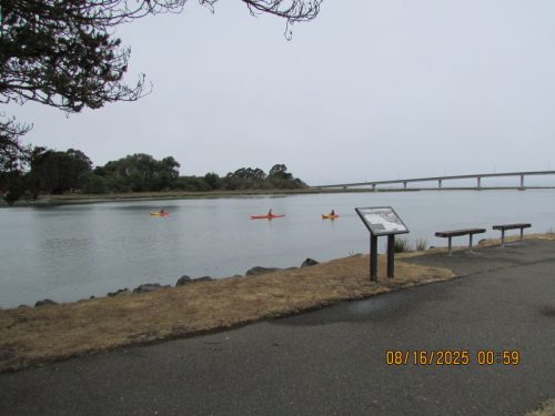 IMG 0440 (1)