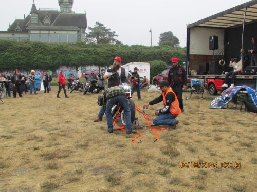 IMG 0464 (1)