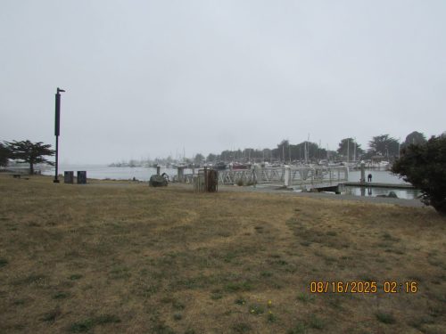 IMG 0473 (1)
