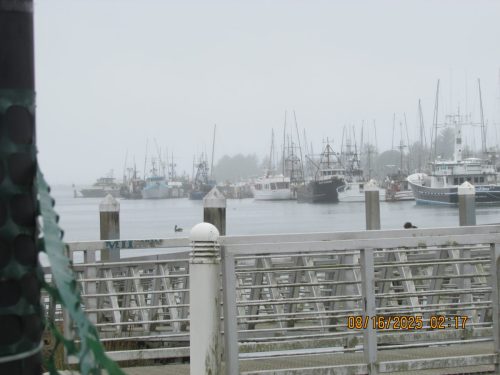 IMG 0474 (1)