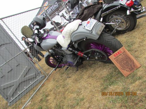 IMG 0489 (1)